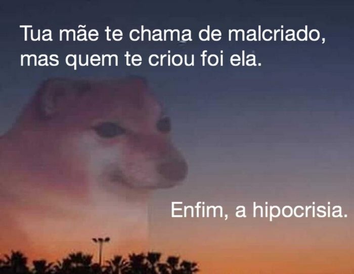 20 memes Enfim, a hipocrisia 17