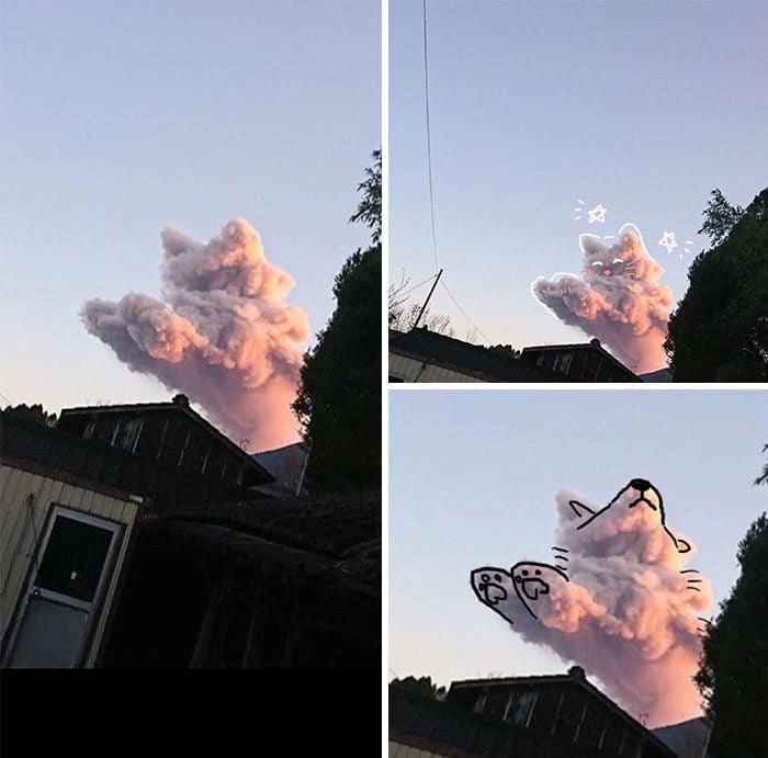 23 pessoas viram gatos em lugares inesperados e decidiram tirar fotos 9