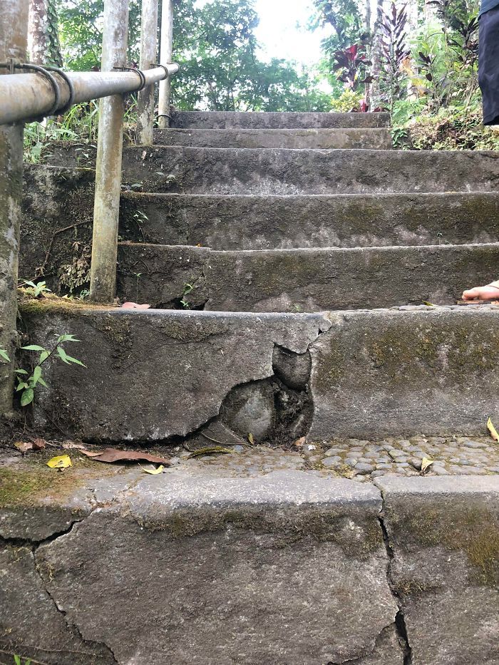 23 pessoas viram gatos em lugares inesperados e decidiram tirar fotos 13