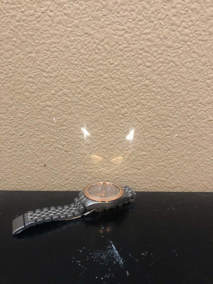 23 pessoas viram gatos em lugares inesperados e decidiram tirar fotos 14