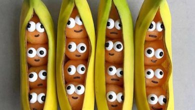 30 pratos incrível feito pelo artista da gastronomia Sine 30