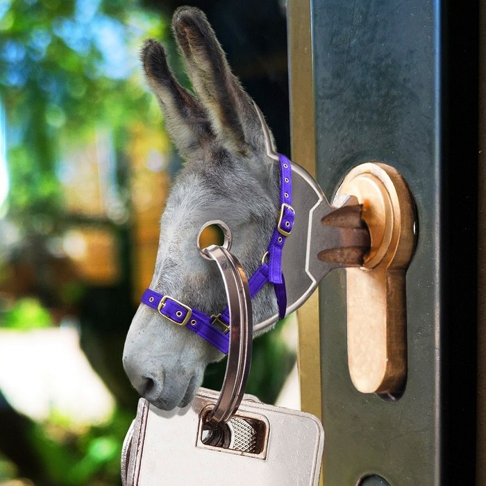 Alguém colocou animais em coisas aleatórias e a internet está adorando 1