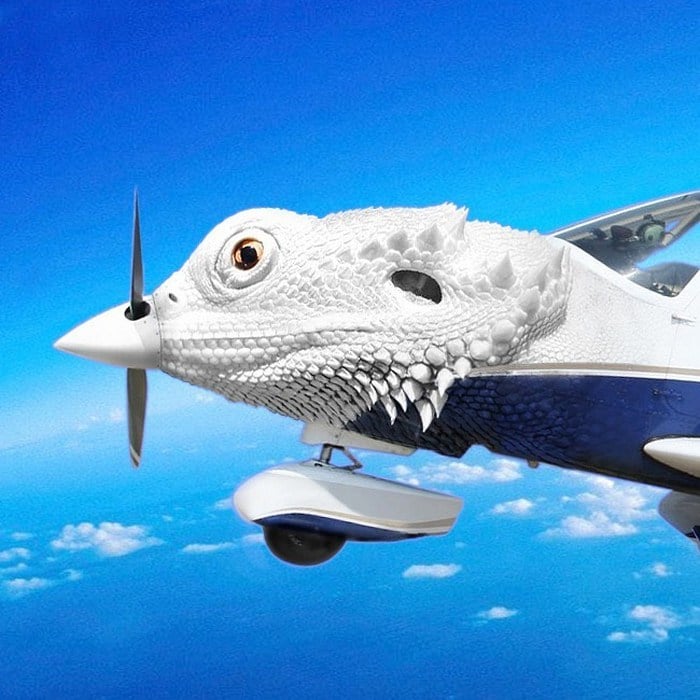 Alguém colocou animais em coisas aleatórias e a internet está adorando 5