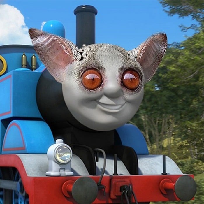 Alguém colocou animais em coisas aleatórias e a internet está adorando 16