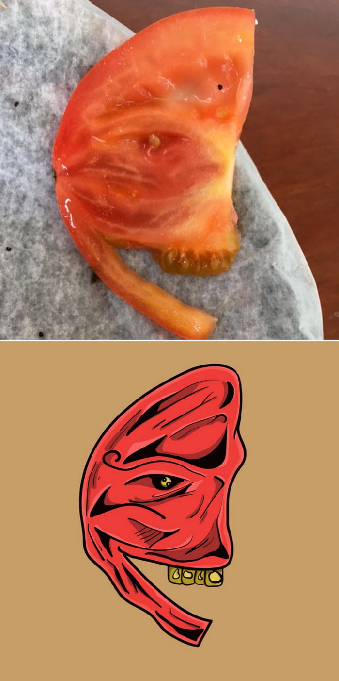 Artista com pareidolia resolveu ilustrar como ele enxerga as coisas em sua volta 7