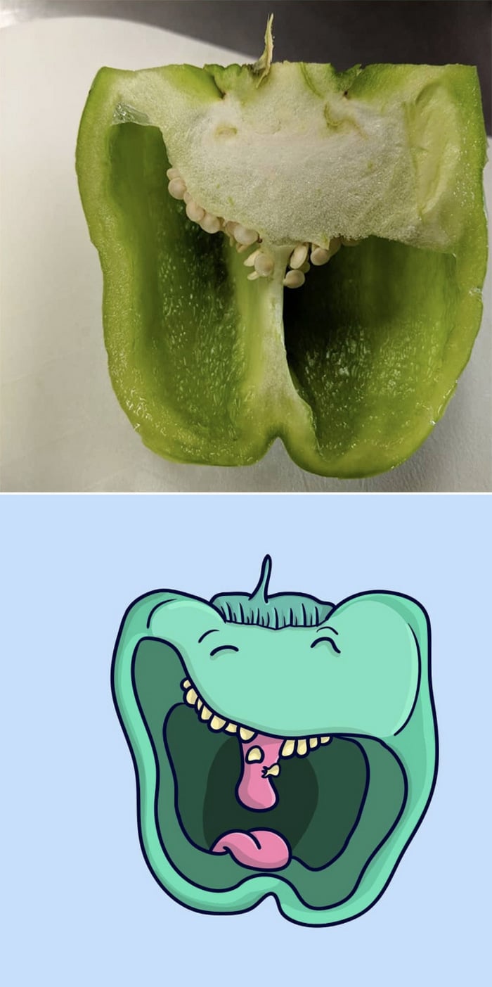 Artista com pareidolia resolveu ilustrar como ele enxerga as coisas em sua volta 11