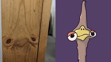 Artista com pareidolia resolveu ilustrar como ele enxerga as coisas em sua volta 12