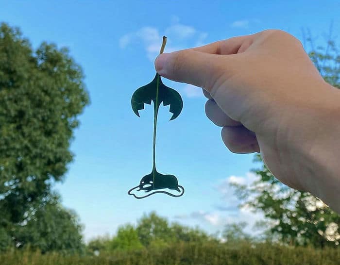 Artista japonês cria obras de arte com recortes em folhas 24