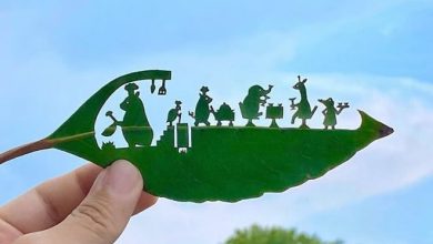 Artista japonês cria obras de arte com recortes em folhas 21