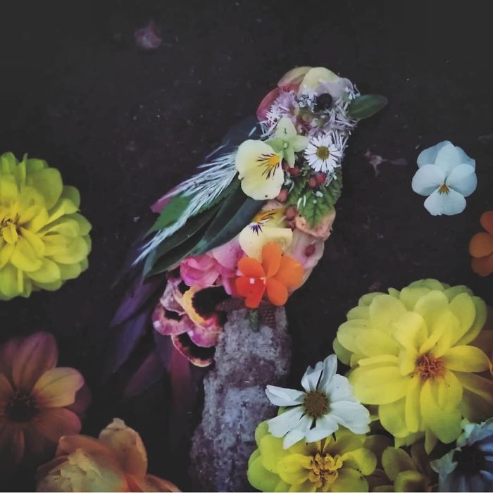 Artista usa coisas que encontra nas florestas para criar lindas mandalas de pássaros 1