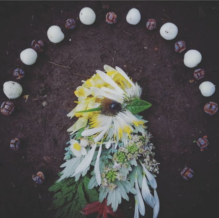 Artista usa coisas que encontra nas florestas para criar lindas mandalas de pássaros 3