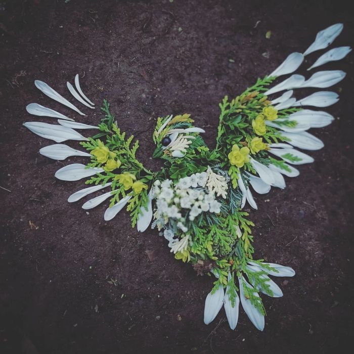 Artista usa coisas que encontra nas florestas para criar lindas mandalas de pássaros 7