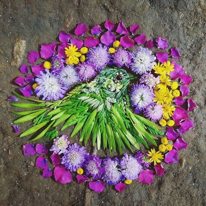 Artista usa coisas que encontra nas florestas para criar lindas mandalas de pássaros 16