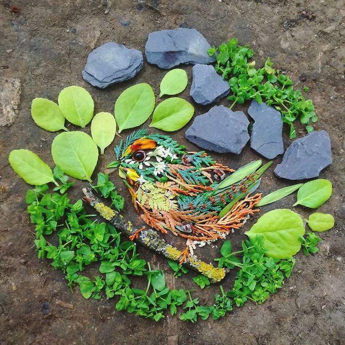 Artista usa coisas que encontra nas florestas para criar lindas mandalas de pássaros 21