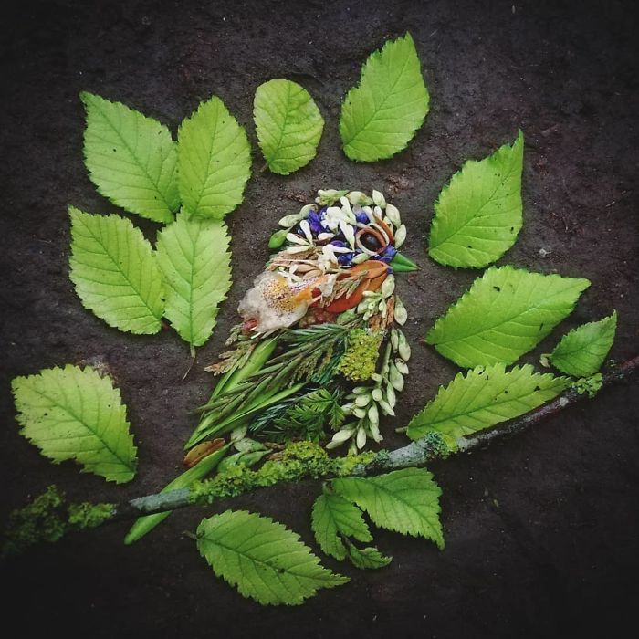 Artista usa coisas que encontra nas florestas para criar lindas mandalas de pássaros 22