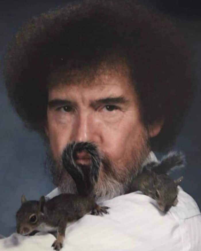 Esta conta do Instagram está compartilhando fotos de família estranhas 12