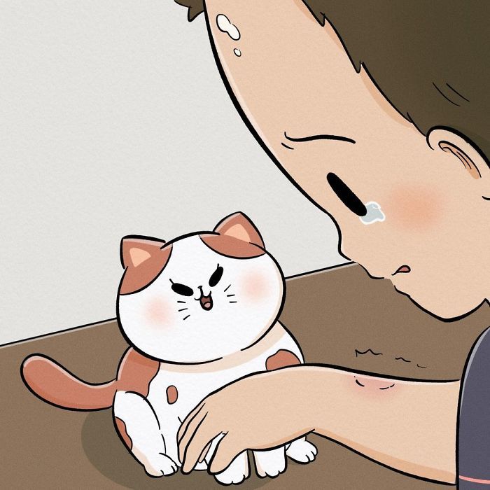 Esta história em quadrinhos comovente está fazendo todo mundo chorar 25