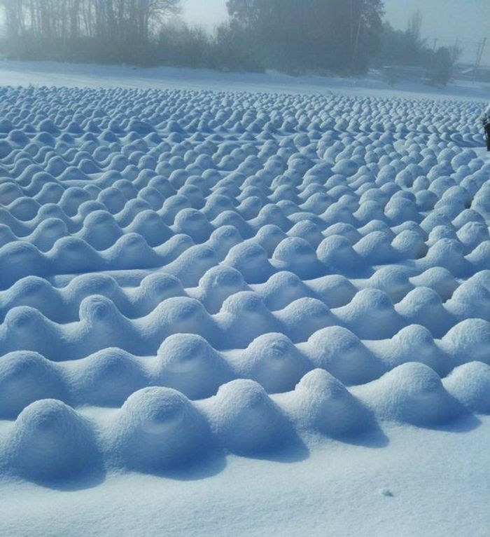 20 fotos fascinantes que podem ser ilustrações perfeitas para um livro de fantasia 4