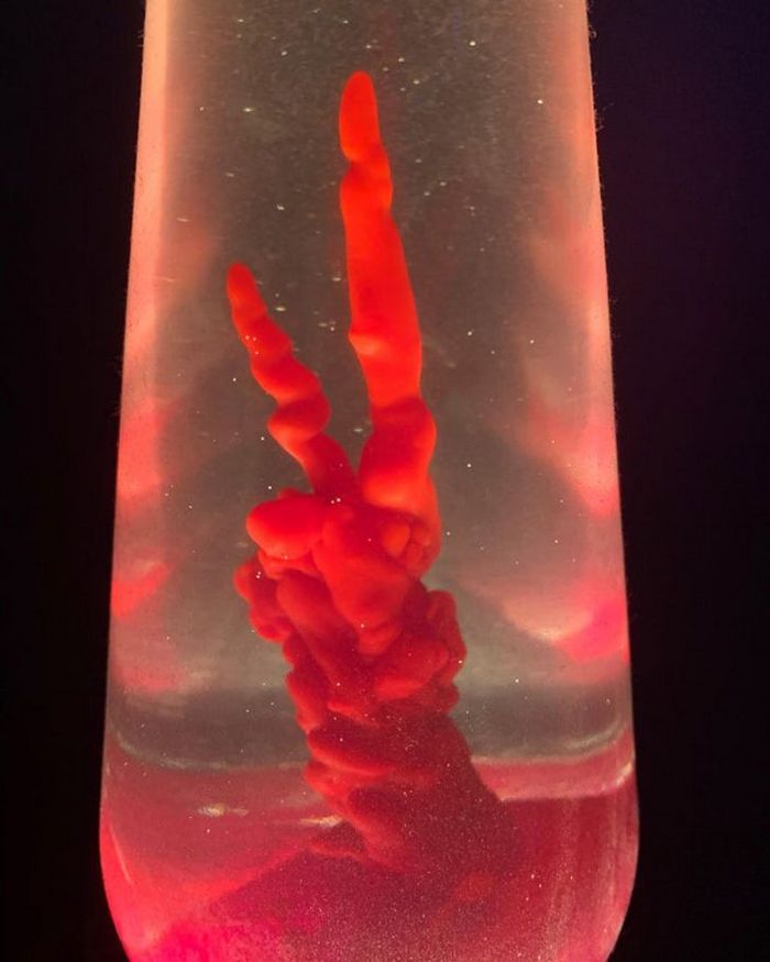 20 fotos fascinantes que podem ser ilustrações perfeitas para um livro de fantasia 7