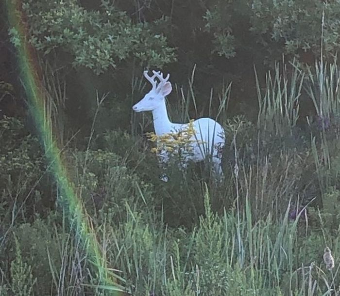 20 fotos fascinantes que podem ser ilustrações perfeitas para um livro de fantasia 8