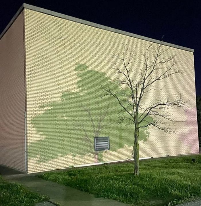 20 fotos fascinantes que podem ser ilustrações perfeitas para um livro de fantasia 11