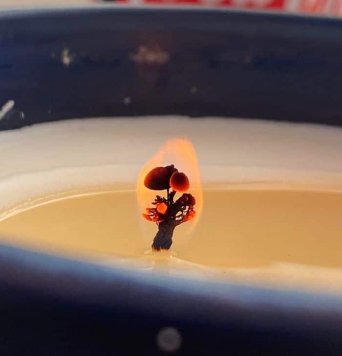 20 fotos fascinantes que podem ser ilustrações perfeitas para um livro de fantasia 14