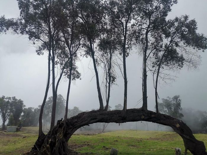 20 fotos fascinantes que podem ser ilustrações perfeitas para um livro de fantasia 15