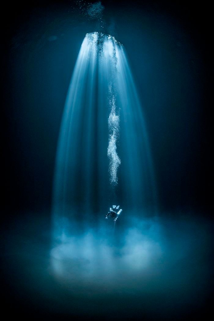 26 fotos vencedora do concurso de fotógrafo subaquático do ano de 2020 13