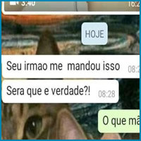 Usuário nível avançado no Whatsapp
