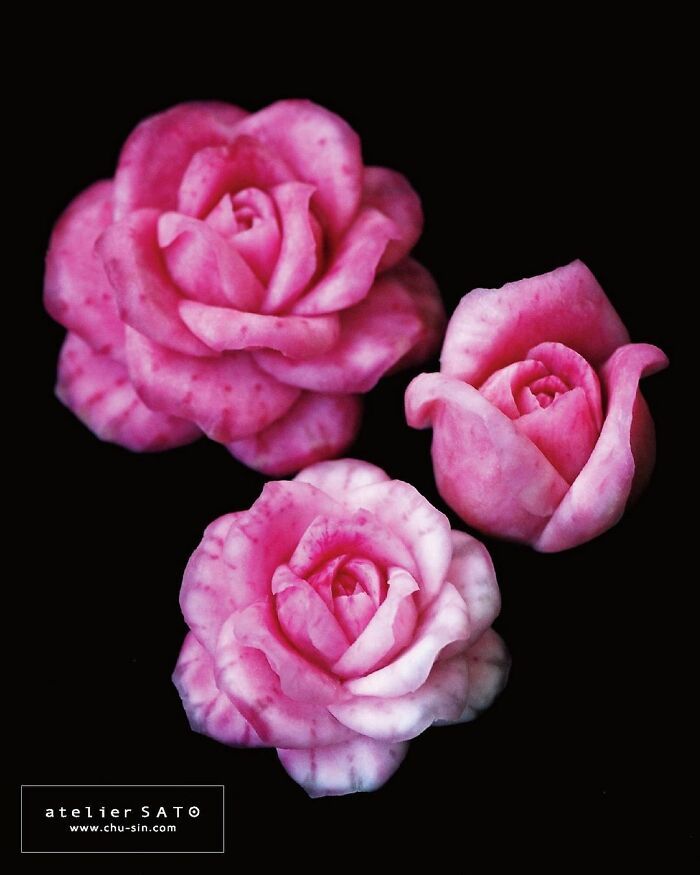 Artista japonês esculpe à mão padrões e ornamentos em comida 19