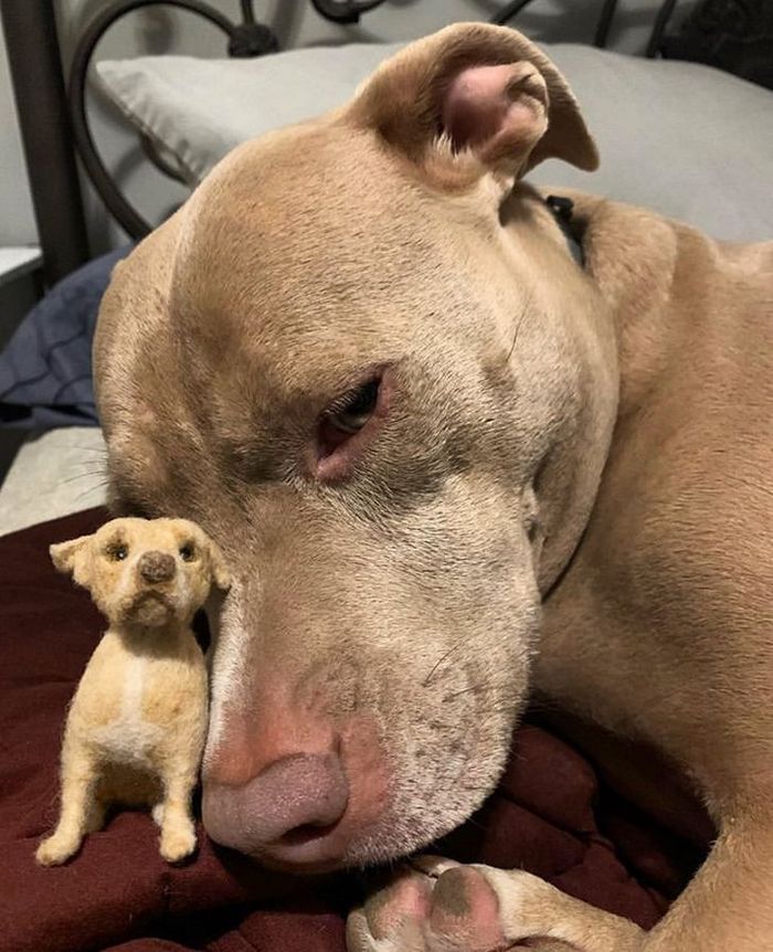 Este artista faz mini bichinhos de lã 2