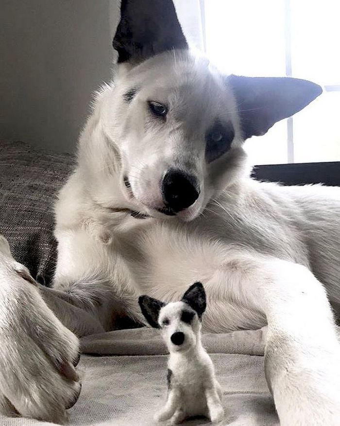 Este artista faz mini bichinhos de lã 5