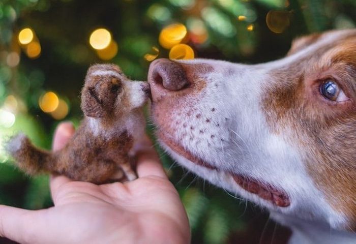 Este artista faz mini bichinhos de lã 7
