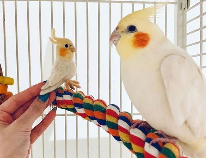 Este artista faz mini bichinhos de lã 8