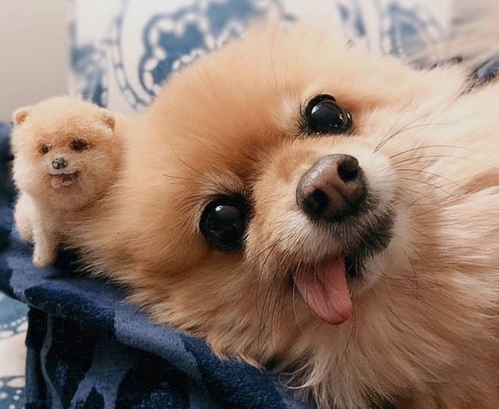 Este artista faz mini bichinhos de lã 10