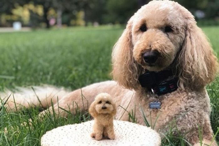 Este artista faz mini bichinhos de lã 11