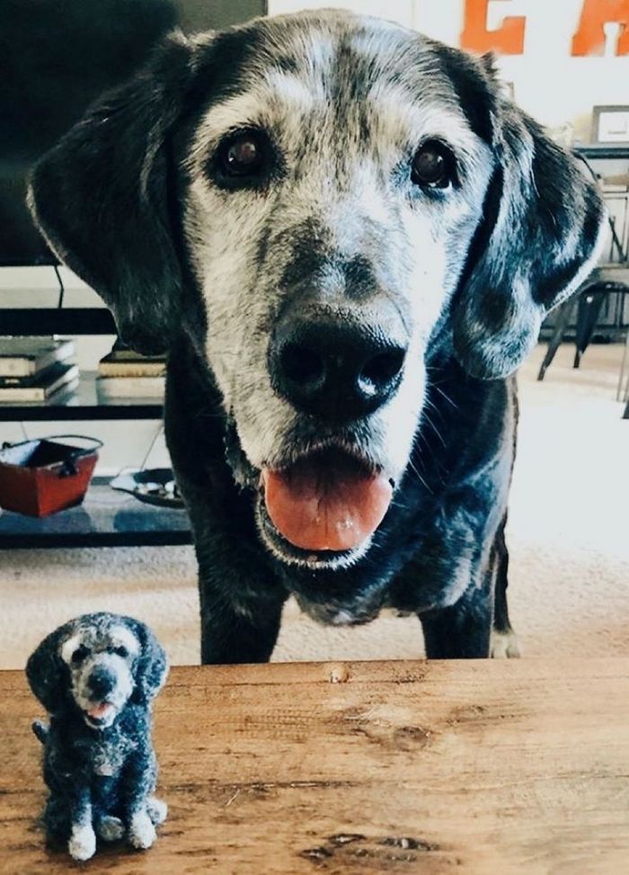 Este artista faz mini bichinhos de lã 14