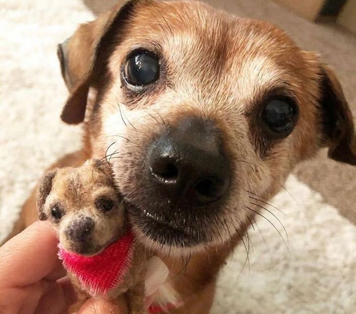 Este artista faz mini bichinhos de lã 16