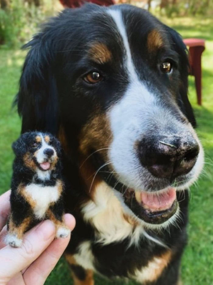 Este artista faz mini bichinhos de lã 19