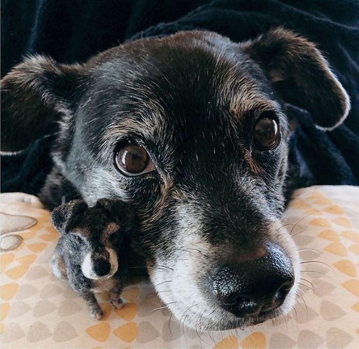 Este artista faz mini bichinhos de lã 20