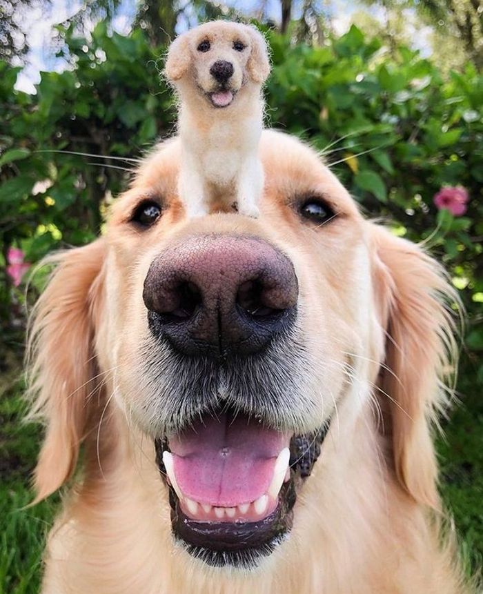 Este artista faz mini bichinhos de lã 23