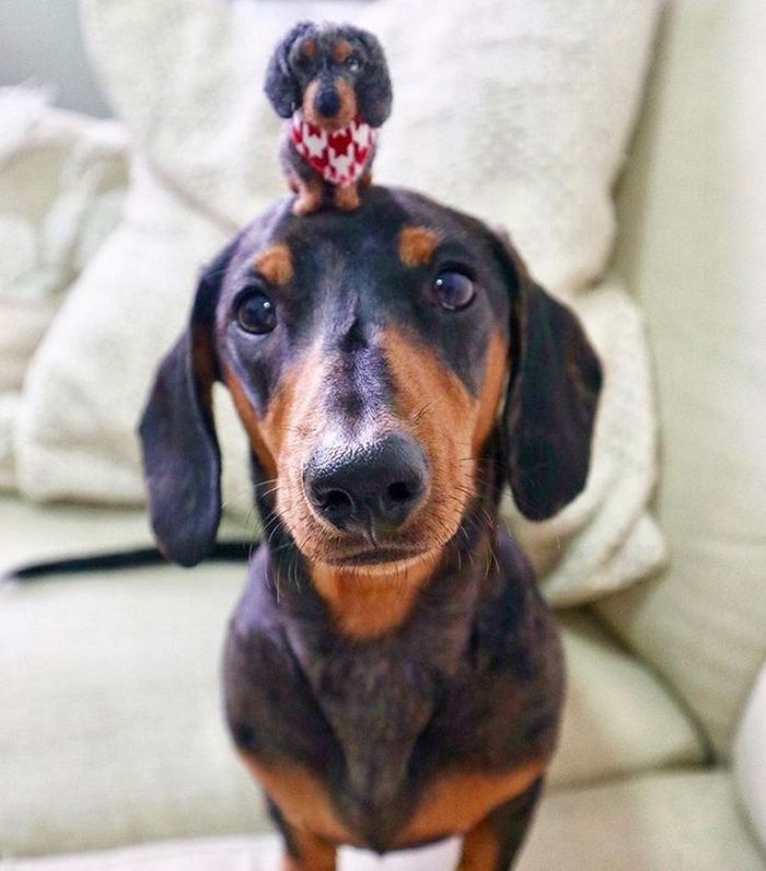 Este artista faz mini bichinhos de lã 25