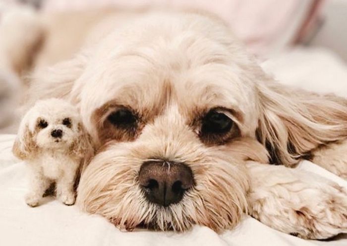 Este artista faz mini bichinhos de lã 26