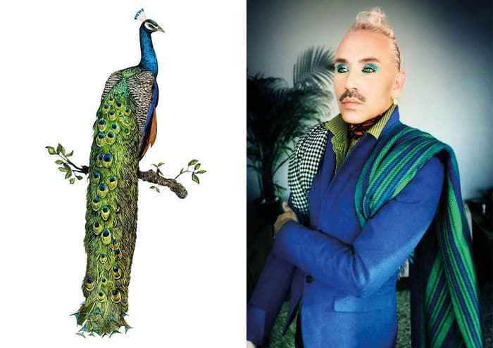 Eu crio estes looks de moda e maquiagem inspirados nos pássaros que desenho 4