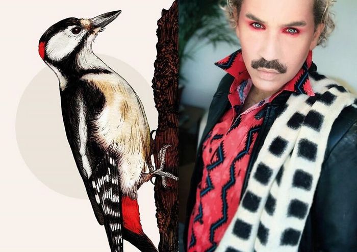 Eu crio estes looks de moda e maquiagem inspirados nos pássaros que desenho 6