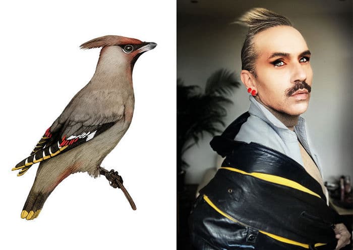 Eu crio estes looks de moda e maquiagem inspirados nos pássaros que desenho 8