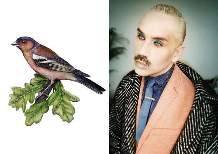 Eu crio estes looks de moda e maquiagem inspirados nos pássaros que desenho 9