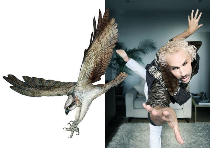 Eu crio estes looks de moda e maquiagem inspirados nos pássaros que desenho 10