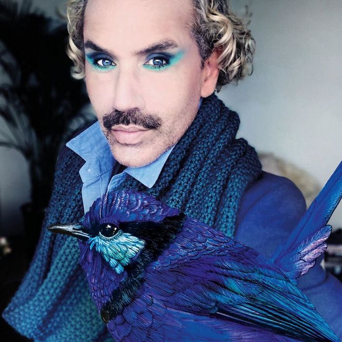 Eu crio estes looks de moda e maquiagem inspirados nos pássaros que desenho 13