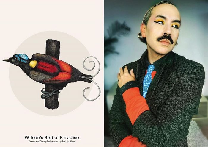 Eu crio estes looks de moda e maquiagem inspirados nos pássaros que desenho 14